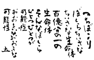 つちぼこり　ぼくらちいさな　ちいさな生命体　百億分の1の生命体　そんなぼくら　ひとつひとつが可能性　おおきなおおきな可能性