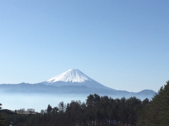 農業と地域再生コンサルタント